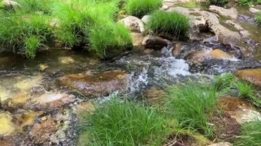 Şelalenin adı Cascata do Pincho veya cascata da ferida ma. Ankora Nehri 'nde muhteşem doğa korsanlar ve seyahatler hakkında bir filmin oranlarına benzer.
