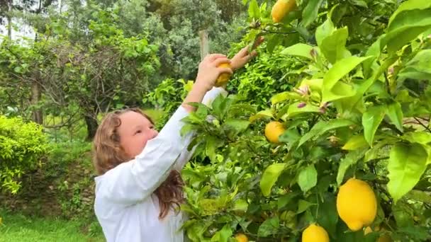 Светловолосая Девочка Подросток Белой Рубашке Стоит Рядом Лимонным Деревом Выбирает — стоковое видео