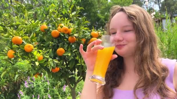 タンジェリンの木を背景にオレンジジュースを飲む女の子はオレンジジュースを飲むタンジェリンマンゴー彼女は貪欲に飲むと本当にどこでもおいしいジュースが好き緑と夏 — ストック動画