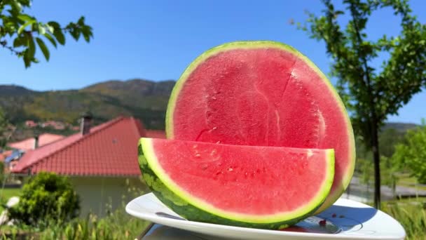 Gesneden Watermeloen Ligt Tegen Achtergrond Van Bergen Natuur Hand Vrouwelijke — Stockvideo
