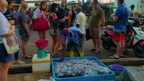 Mercado Peixe Sri Lanka Mirissa Costa Oceano Índico Pescadores Trazem — Vídeo de Stock