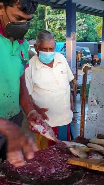 Een Vismarkt Sri Lanka Mirissa Aan Kust Van Indische Oceaan — Stockvideo