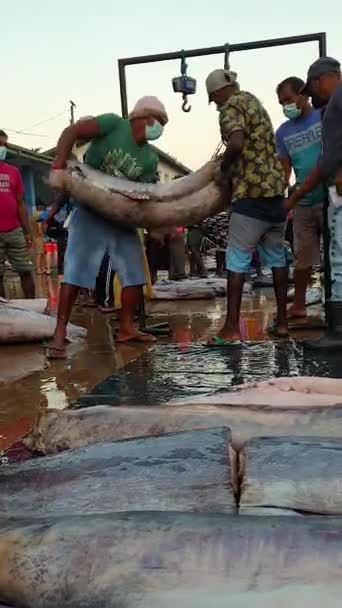 인도양 연안에 스리랑카 시장에서는 어부들 이배를 물고기를 가지고 다랑어와 고기를 — 비디오