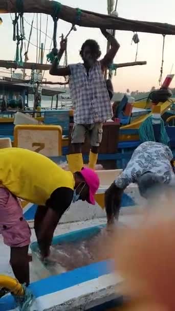 在斯里兰卡的一个鱼市场上 在印度洋沿岸的米里萨岛 渔民们用船把鱼带回来 出售各种鱼 金枪鱼和许多其他五彩斑斓的鱼 这些鱼躺在地上 — 图库视频影像
