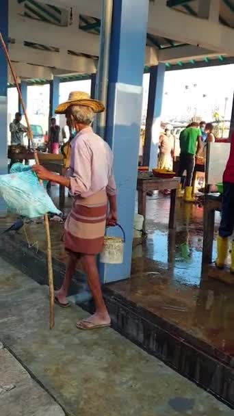 在斯里兰卡的一个鱼市场上 在印度洋沿岸的米里萨岛 渔民们用船把鱼带回来 出售各种鱼 金枪鱼和许多其他五彩斑斓的鱼 这些鱼躺在地上 — 图库视频影像
