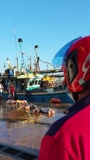 Рибний Базар Шрі Ланці Мірісі Узбережжі Індійського Океану Рибалки Привозять — стокове відео