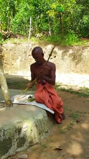 ein Mann in sri lanka ein Anwohner macht Zimt von einem Baum trocknet es in diesem Fall zerreibt er einen Stock mit einem Messer auf ihn einen roten Lendenschurz und nichts anderes. Hochwertiges Filmmaterial