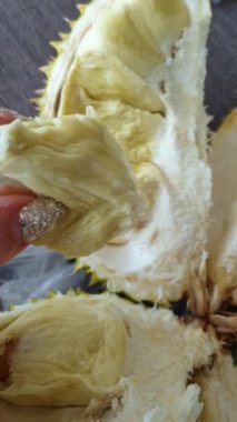 Parlak tırnaklı bir kadın eli Durian meyvesine dokunur, çok yumuşaktır, ona dokunur, yoğurur ve kamera videosuyla dikey olarak alır. Yüksek kaliteli görüntüler