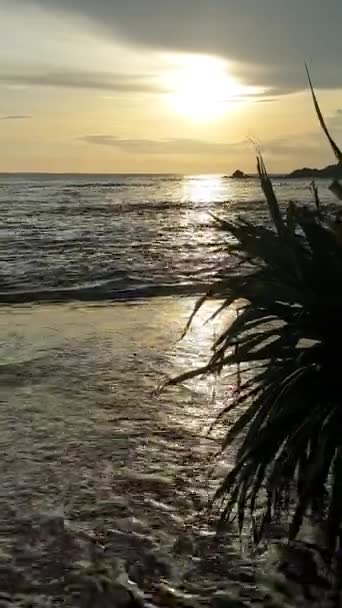 Večer Indický Oceán Třpytí Slunci Světelné Vlny Omývají Písek Vidět — Stock video
