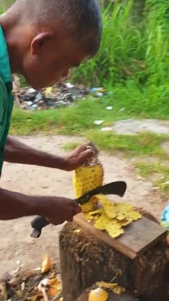 Sri Lanka Quando Compram Uma Árvore Frutos Pão Eles Cortam — Vídeo de Stock