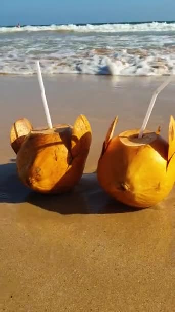 Kokosnüsse Liegen Auf Dem Sand Essstäbchen Ragen Aus Ihnen Heraus — Stockvideo