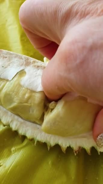 Ženská Ruka Lesklými Nalakovanými Nehty Dotýká Duriánského Ovoce Velmi Měkká — Stock video