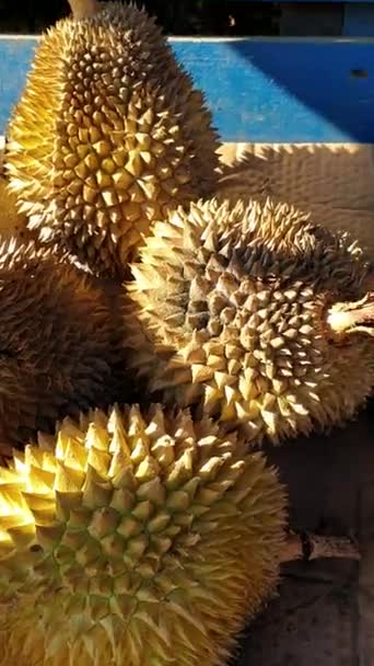 Durian Fructe Lumină Caldă Configurate Pentru Mai Sus Împușcat Setarea — Videoclip de stoc