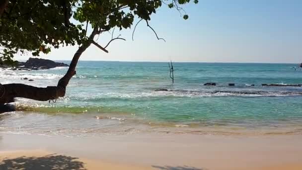 印度洋是由贝弗莱德树看到的 美丽闪亮的绿松石波浪掠过黄沙 优质Fullhd影片 — 图库视频影像