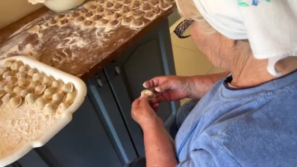 Grandmother Years Love Prepares Dumplings She Guardian Family She Wears — Stock Video