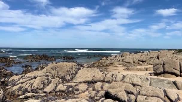 Povoa Varzim Cidade Portugal Suas Ruas Natureza 2022 Imagens Alta — Vídeo de Stock