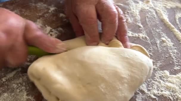 Grandmother Prepares Delicious Dumplings Pies Dumplings Her Grandson She Shakes — Stockvideo