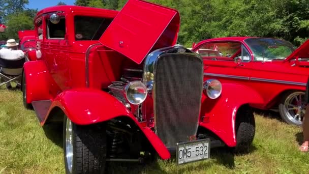 Jellybean Autocrafters 2022 Canada Surrey Celebration Different Old Rare Models — Stock video
