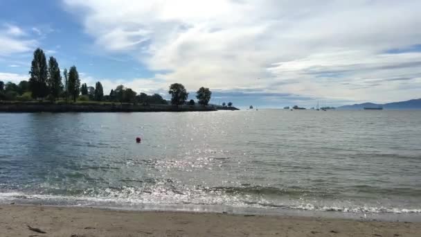 Vancouver Canada Biathlon Oceano Pacifico Trova Alla Foce Del Fiume — Video Stock
