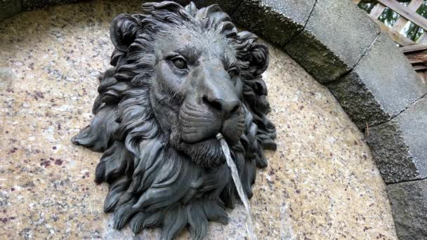 Fountain Lions Head Close Iron Stone Wall Mouth Jet Water — Stok video