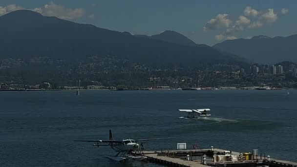 Harbor Air Seaplanes Scheduled Tour Charter Airline Based Richmond British — Stock Video
