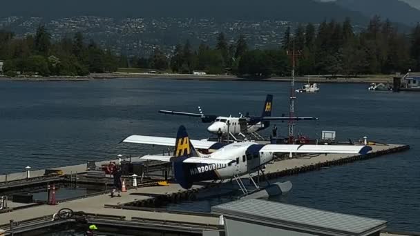 Harbor Air Seaplanes Ist Eine Linien Touren Und Charterfluggesellschaft Mit — Stockvideo