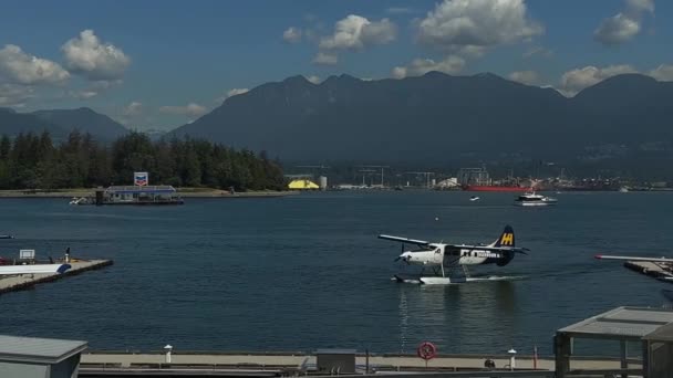 Harbor Air Seaplanes Linia Lotnicza Siedzibą Richmond Kolumbia Brytyjska Kanada — Wideo stockowe