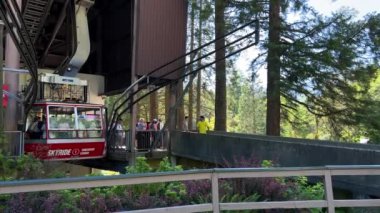 Grouse Dağı, Pivnichny Belediyesindeki Pivnichny Sahili 'nin dağları. Britanya Kolumbiyası, Kanada Grouse Dağı, dağ kayak merkezi Vancouver Canada' nın sisi.