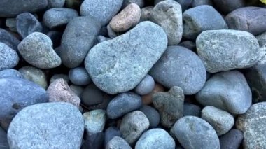 Wreck Beach, Tower Beach, Acadia Plajı Vancouver 'da çıplaklar plajı kıyıda taşlar var, kamera yavaşça yüzüyor ve onları yakından çekiyor, farklı boyutlarda gri-mavi renkteler.