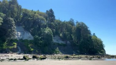 Wreck Beach, Tower Beach, Acadia Plajı Vancouver 'daki çıplaklar plajı. Üniversite yakınlarındaki yüksek kayalık tepelerde yetişen ağaçlar. Hiçbir yerde insan yok ve karanlık kum var. Yüksek kalite 4k görüntü