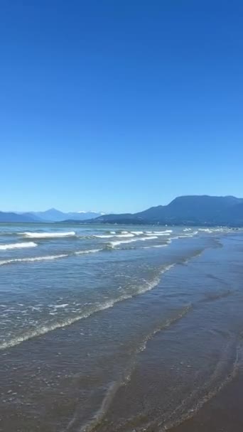 Wreck Beach Tower Beach Acadia Beach Nudist Beach Vancouver Camera — Video