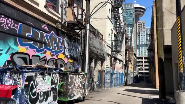 Liman Merkezi Vancouver Çok Sıra Dışı Bir Tarafı Vardır Duvarların — Stok video