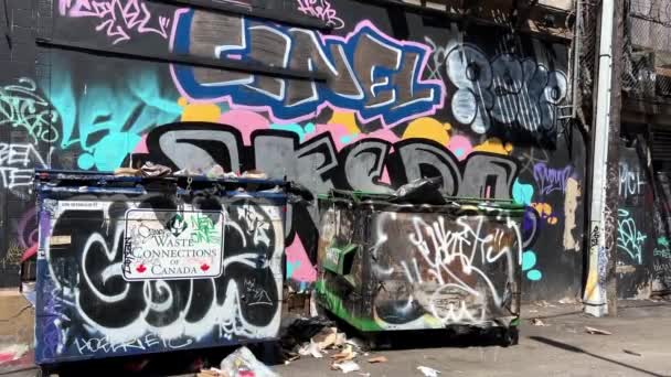 Graffiti Wall Garbage Cans Painted Different Colors Bad Neighborhood Vancouver — Videoclip de stoc