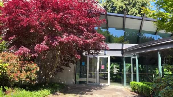 Chan Center Performing Arts Bright Red Tree Left Side Entrance — Stok video