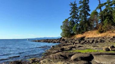 Wall beach, Nanoose Pacific Ocean beach on Vancouver Island a very beautiful combination of nature on the right side coniferous trees on the left side the ocean looks like a lake or the sea. 4k