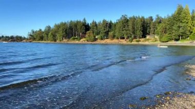 Wall beach, Nanoose Pacific Ocean beach on Vancouver Island a very beautiful combination of nature on the right side coniferous trees on the left side the ocean looks like a lake or the sea. 4k