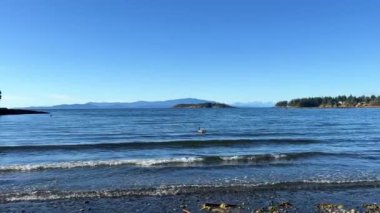 Wall beach, Nanoose Pacific Ocean beach on Vancouver Island a very beautiful combination of nature on the right side coniferous trees on the left side the ocean looks like a lake or the sea. 4k