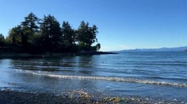 Wall beach, Nanoose Pacific Ocean beach on Vancouver Island a very beautiful combination of nature on the right side coniferous trees on the left side the ocean looks like a lake or the sea. 4k