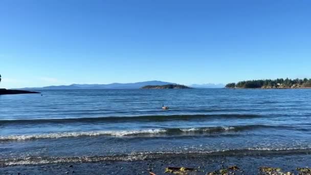 Wall Beach Nanoose Pacific Ocean Beach Vancouver Island Very Beautiful — Video Stock