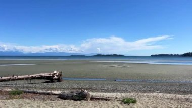 Rathtrevor Beach, Parksville calm Pacific Ocean in Vancouver Island the water went into the sea broken huge trees dried up lie on the beach as if after a storm silence calmness and no people.