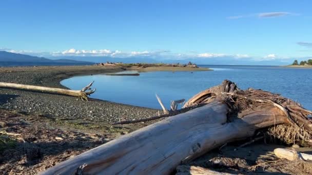 Rathtrevor Beach Parksville Calm Pacific Ocean Vancouver Island Water Went — Video