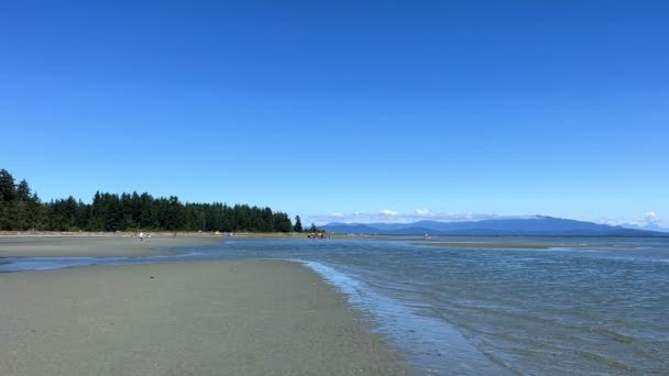 Coast Pacific Ocean Vancouver Island Can Seen Low Tide Now — Vídeo de Stock