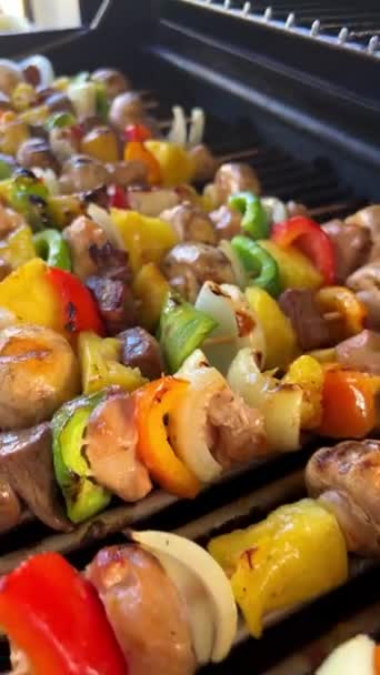 Delicious Kebab Lots Vegetables Chicken Pork Fried Barbecue Grill Turn — Stock Video