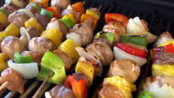 Delicious Kebab Lots Vegetables Chicken Pork Fried Barbecue Grill Turn — Vídeo de stock