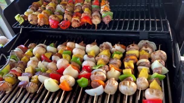 Delicious Kebab Lots Vegetables Chicken Pork Fried Barbecue Grill Turn — Wideo stockowe