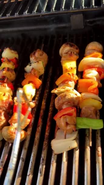 Delicious Kebab Lots Vegetables Chicken Pork Fried Barbecue Grill Turn — Stockvideo