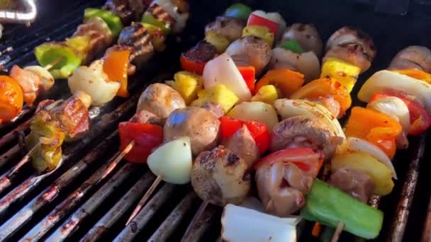 Delicious Kebab Lots Vegetables Chicken Pork Fried Barbecue Grill Turn — Wideo stockowe
