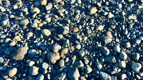 Rocky Beach Pacific Ocean Showing Each Stone Any Background Text — Fotografia de Stock