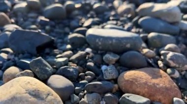 the camera slowly floats over the rocky beach of the Pacific ocean showing each stone for any background For the text of the advertisement music for relaxation Parksville beach Surfside RV resort.