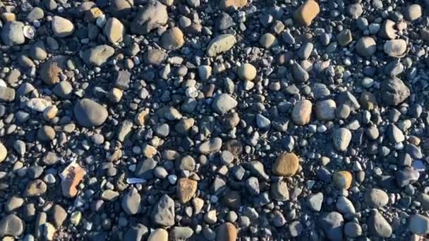 Camera Slowly Floats Rocky Beach Pacific Ocean Showing Each Stone — Vídeos de Stock